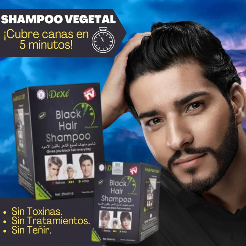 SHAMPOO PINTA CANAS