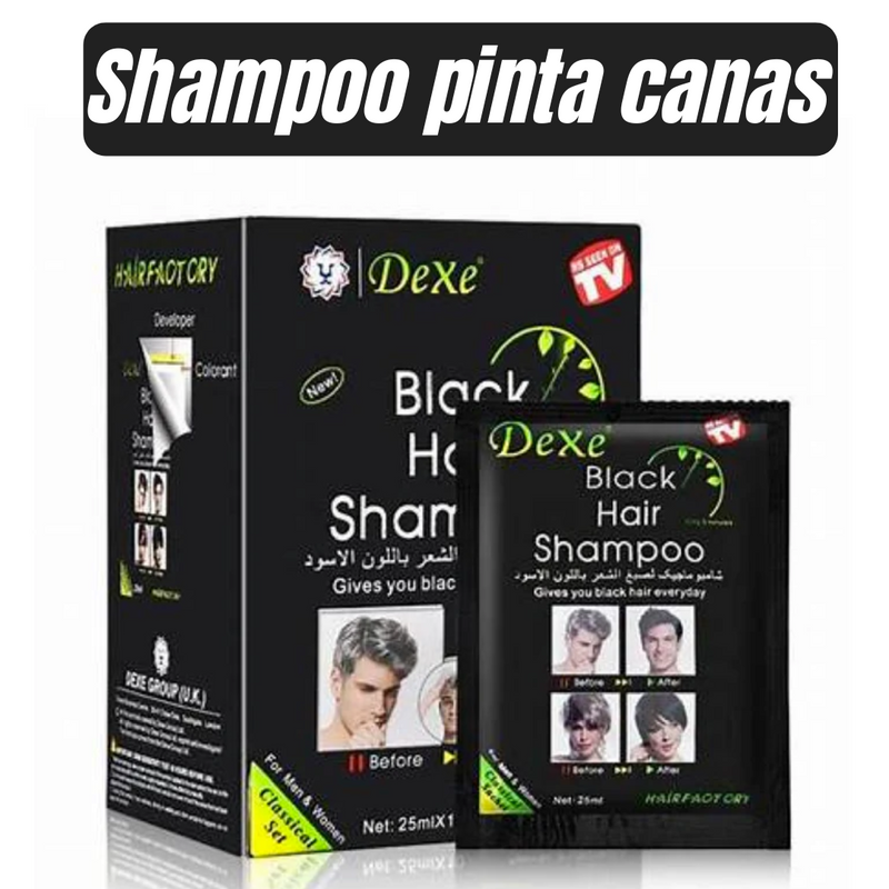 SHAMPOO PINTA CANAS